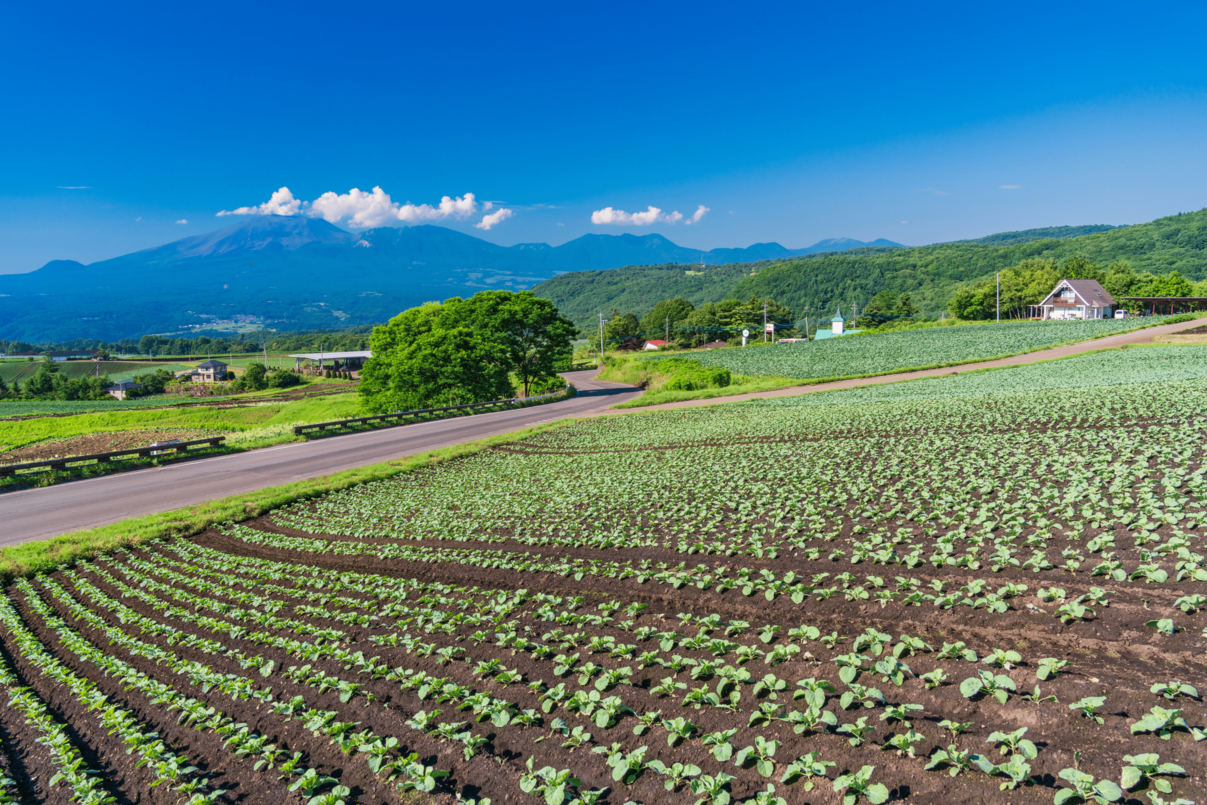 写真：景色